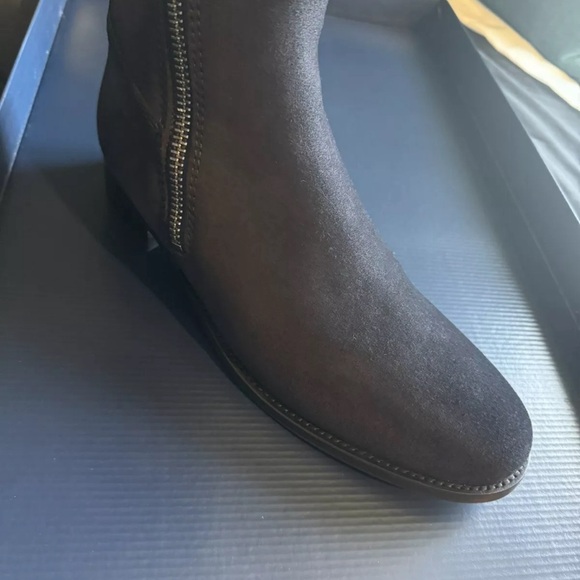 FAIRFAX & FAVOR REGINA - Picture 5 of 14